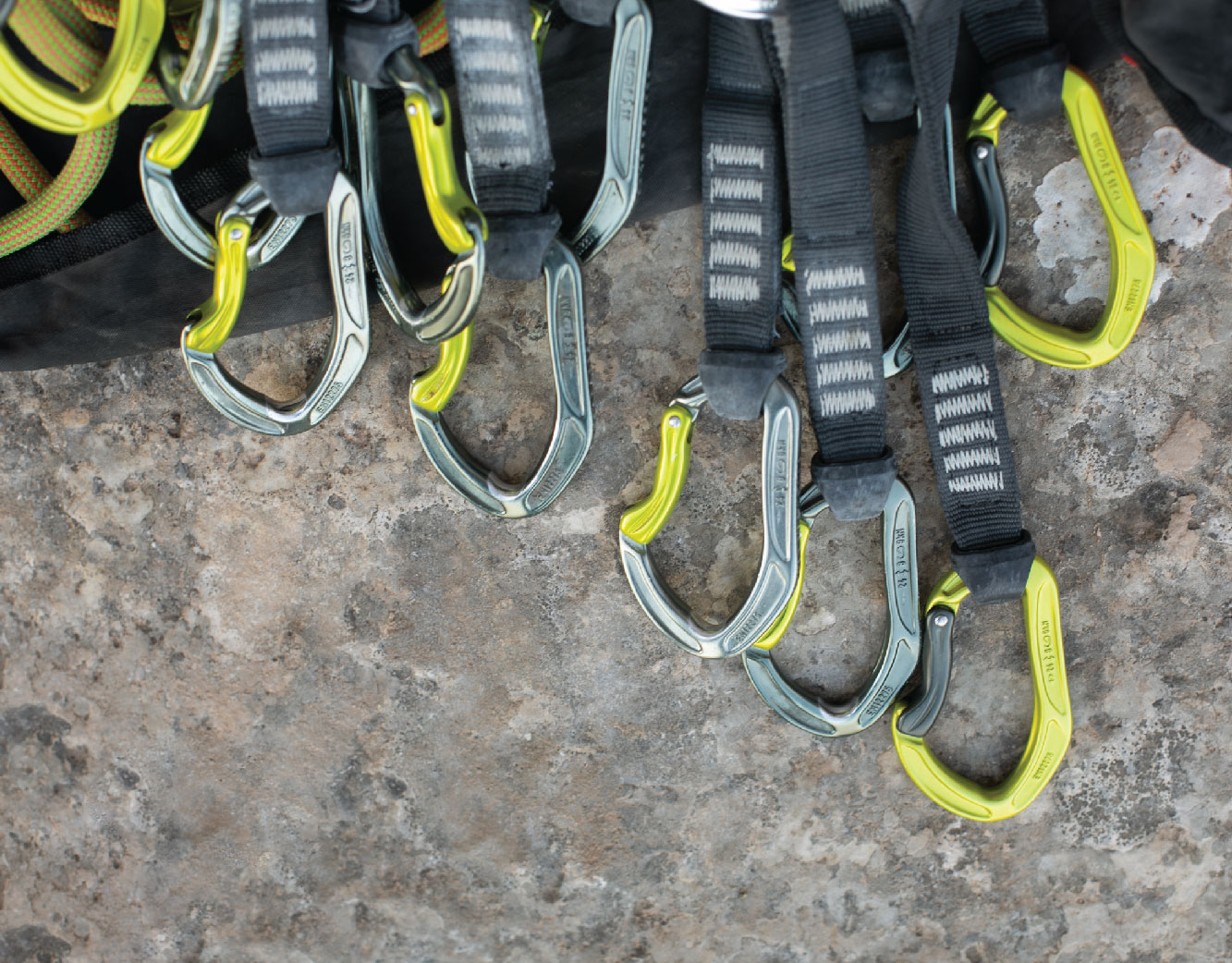 الكاراينات (1)